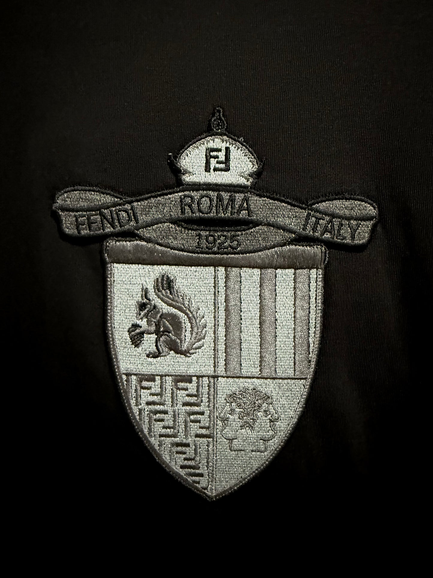 FENDI Calidad Alta Negro
